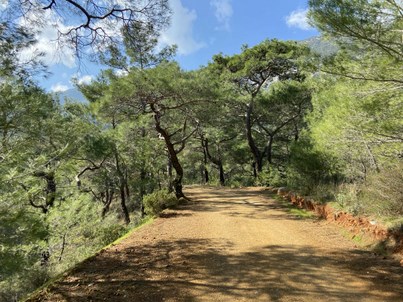 Экологическое и проектирование и нормирование