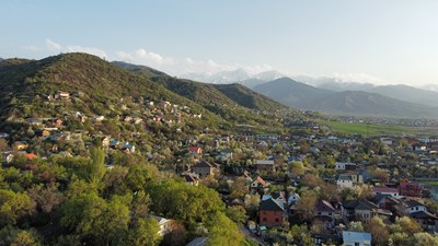 Экологический аутсорсинг