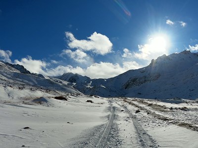Экологические исследования
