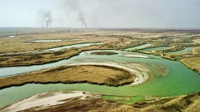 Экологическое обучение